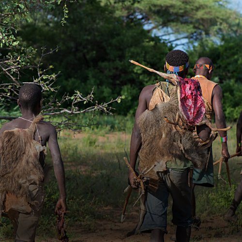 8 DAYS CULTURAL EXPERIENCE