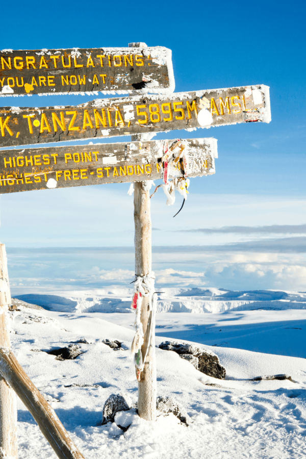 kilimanjaro s (1)